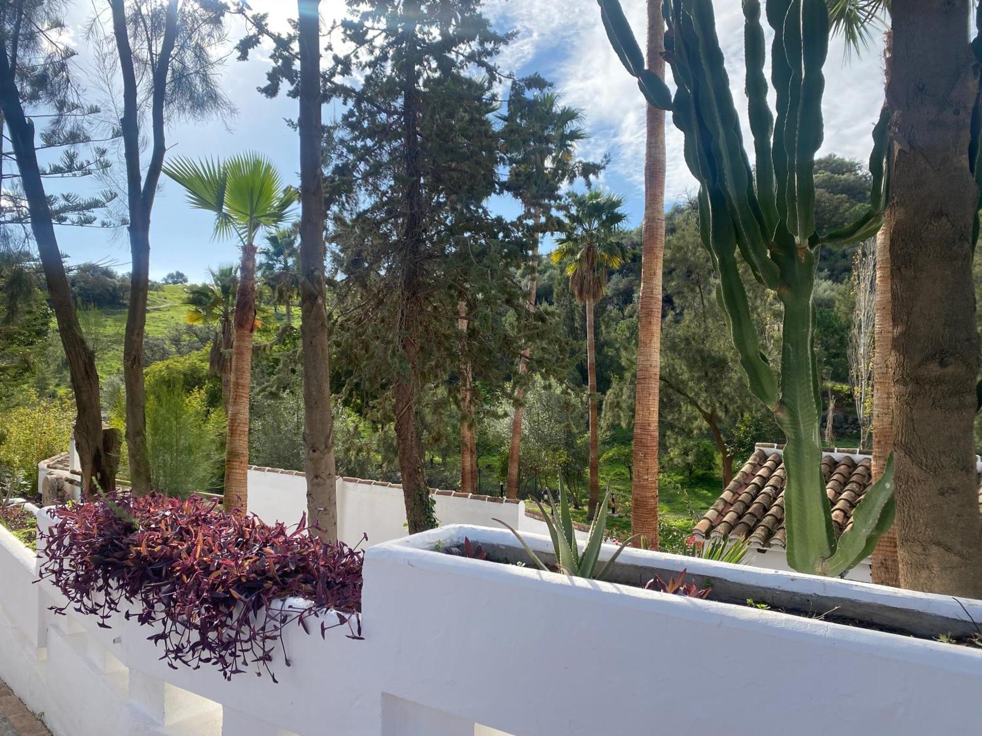 Malaga Sierra De Las Nieves By Real Spain Hotels Adults Recommended Casarabonela Exterior foto