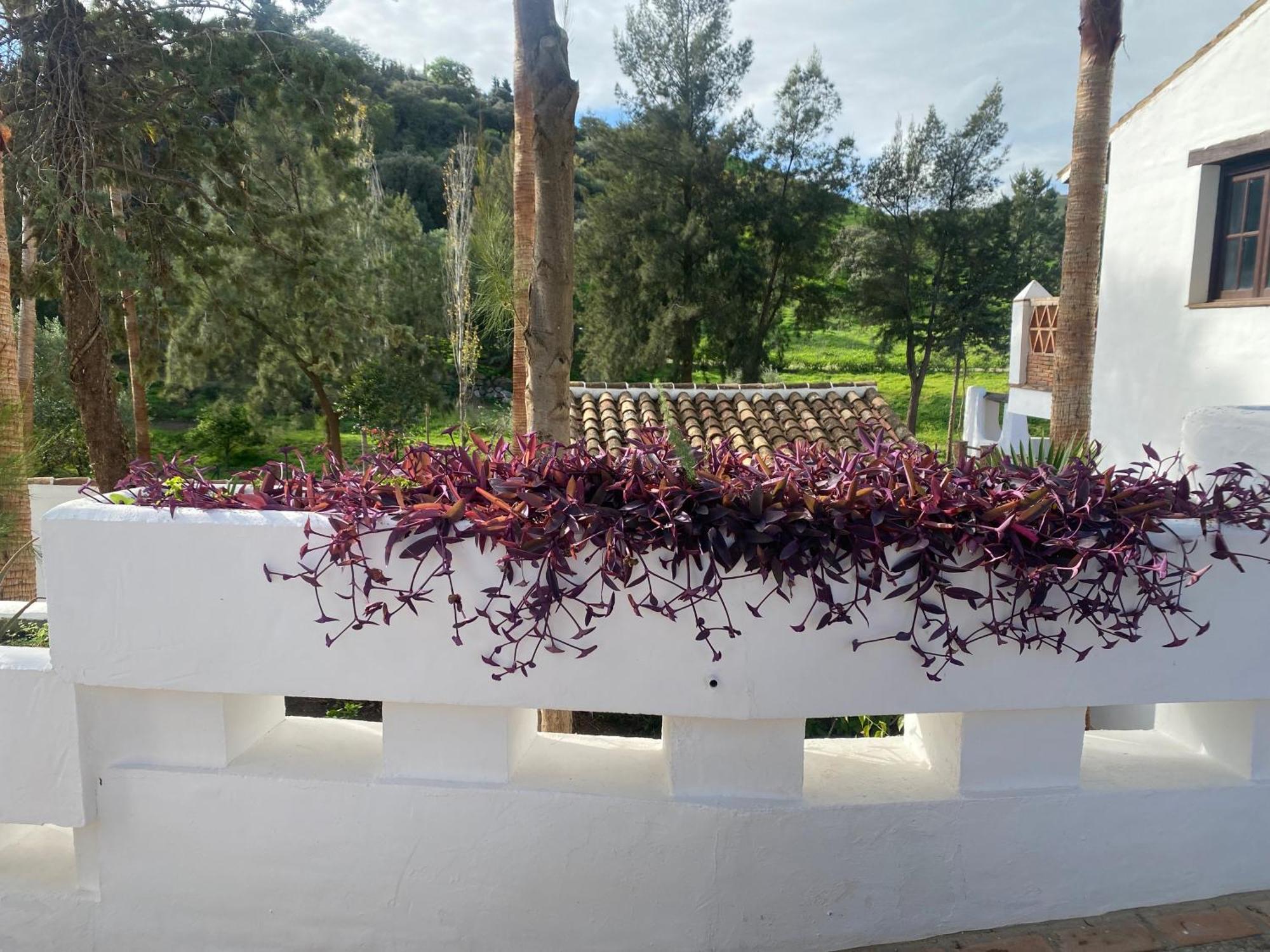 Malaga Sierra De Las Nieves By Real Spain Hotels Adults Recommended Casarabonela Exterior foto